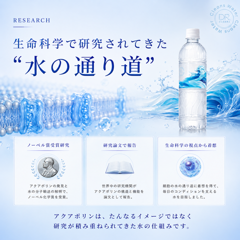 Cleans Water × 24本｜毎日のコンディションを支える水