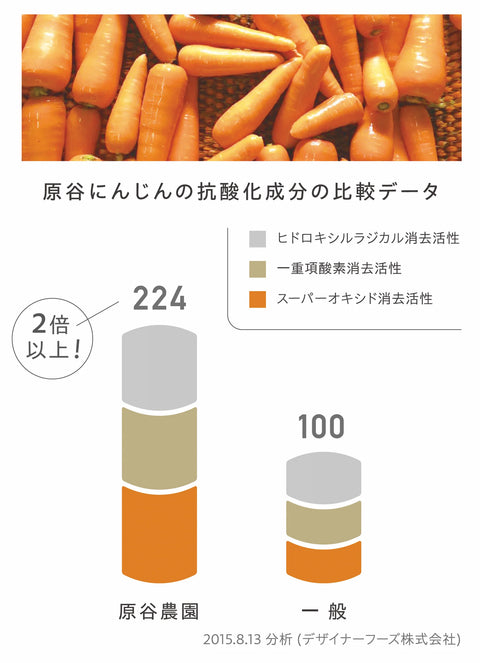 【12本】発酵ナチュラル酵素